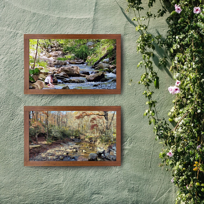 Linville Caverns Creekside - Giclée Canvas Wrap